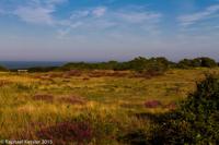 © Copyright Raphael Kessler - Britain - Dunwich 10