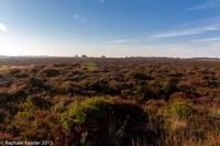 © Copyright Raphael Kessler - Britain - Dunwich 13