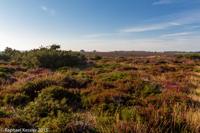 © Copyright Raphael Kessler - Britain - Dunwich 9