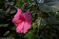 © Copyright Raphael Kessler - Britain - Eden 5