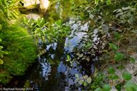 © Copyright Raphael Kessler - Britain - Eden 6