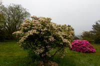 © Copyright Raphael Kessler - Britain - Emmetts Garden 15