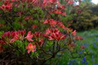 © Copyright Raphael Kessler - Britain - Emmetts Garden 20