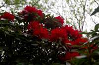 © Copyright Raphael Kessler - Britain - Emmetts Garden 22