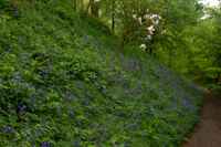 © Copyright Raphael Kessler - Britain - Emmetts Garden 25