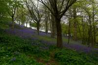 © Copyright Raphael Kessler - Britain - Emmetts Garden 26