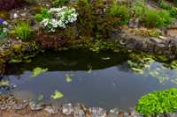 © Copyright Raphael Kessler - Britain - Emmetts Garden 3