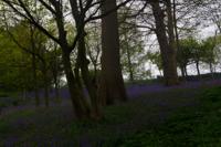 © Copyright Raphael Kessler - Britain - Emmetts Garden 32