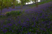 © Copyright Raphael Kessler - Britain - Emmetts Garden 36