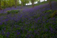 © Copyright Raphael Kessler - Britain - Emmetts Garden 38