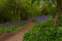 © Copyright Raphael Kessler - Britain - Emmetts Garden 41