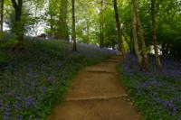 © Copyright Raphael Kessler - Britain - Emmetts Garden 44