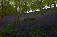 © Copyright Raphael Kessler - Britain - Emmetts Garden 46