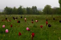 © Copyright Raphael Kessler - Britain - Emmetts Garden 5