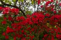 © Copyright Raphael Kessler - Britain - Emmetts Garden 55