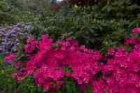 © Copyright Raphael Kessler - Britain - Emmetts Garden 58