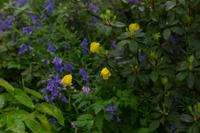 © Copyright Raphael Kessler - Britain - Emmetts Garden 62