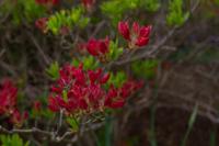 © Copyright Raphael Kessler - Britain - Emmetts Garden 65