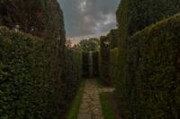 © Copyright Raphael Kessler - Britain - Garden 11