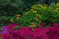 © Copyright Raphael Kessler - Britain - Garden 18