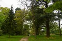 © Copyright Raphael Kessler - Britain - Garden 19