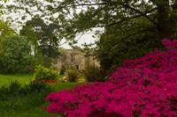 © Copyright Raphael Kessler - Britain - Garden 21