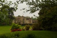 © Copyright Raphael Kessler - Britain - Garden 22