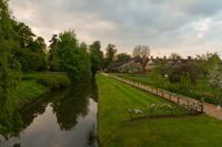 © Copyright Raphael Kessler - Britain - Garden 4