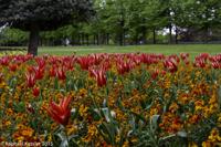 © Copyright Raphael Kessler - Britain - Hampton Court 35