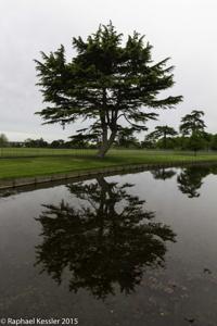© Copyright Raphael Kessler - Britain - Hampton Court 44
