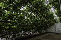 © Copyright Raphael Kessler - Britain - Hampton Court 53