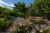 © Copyright Raphael Kessler - Britain - Heligan 15