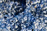 © Copyright Raphael Kessler - Britain - Heligan 18