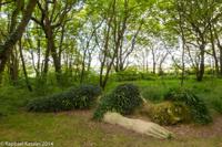 © Copyright Raphael Kessler - Britain - Heligan 2