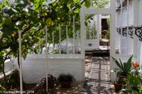 © Copyright Raphael Kessler - Britain - Heligan 21