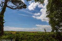 © Copyright Raphael Kessler - Britain - Heligan 3