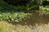 © Copyright Raphael Kessler - Britain - Heligan 7