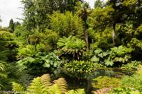 © Copyright Raphael Kessler - Britain - Heligan 8