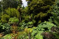 © Copyright Raphael Kessler - Britain - Heligan 9