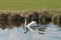 © Copyright Raphael Kessler - Britain - Hertford Walk 15