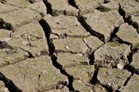 © Copyright Raphael Kessler - Britain - Hertford Walk 3