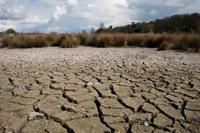 © Copyright Raphael Kessler - Britain - Hertford Walk 4