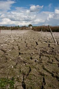 © Copyright Raphael Kessler - Britain - Hertford Walk 6