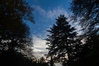 © Copyright Raphael Kessler - Britain - Hughenden 18