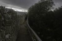 © Copyright Raphael Kessler - England - Isle of Wight - Osbourne 38