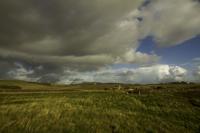 © Copyright Raphael Kessler - England - Isle of Wight - Oratory 91