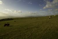 © Copyright Raphael Kessler - England - Isle of Wight - Oratory 93