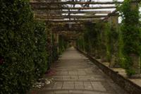 © Copyright Raphael Kessler - Britain - Italian Garden 16