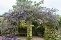 © Copyright Raphael Kessler - Britain - Italian Garden 6