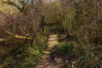 © Copyright Raphael Kessler - Britain - Lulworth Cove 12